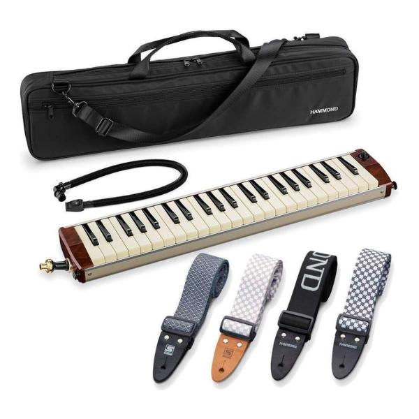 ⭐︎未使用⭐︎美品⭐︎HAMMOND エレアコ鍵盤ハーモニカ PRO-44Hv2 Amazon | HAMMOND ハモンド HAMMOND44 PRO-44HPv2 鍵盤