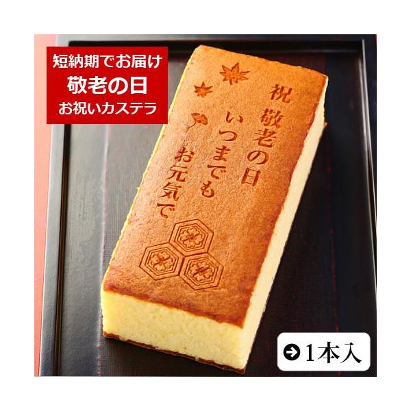 hV̓ َq JXe ܂łC 1{ 0.6 ϔ aَq Mtg hV j bZ[W c c