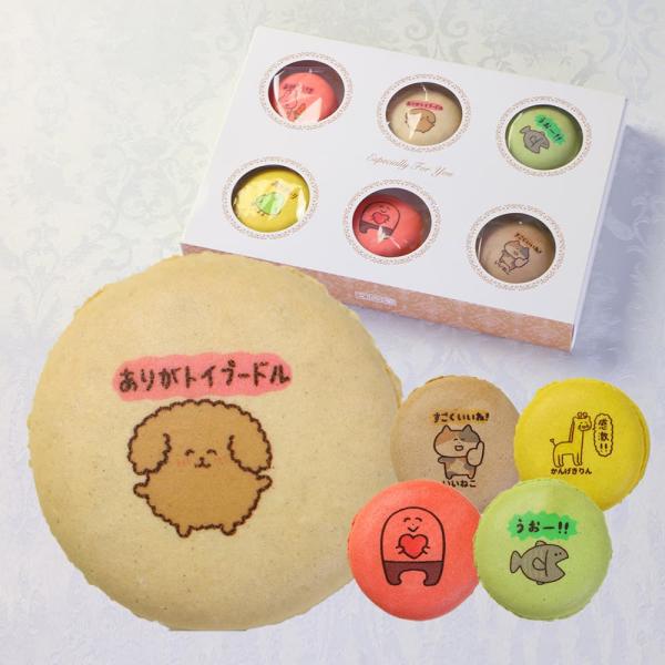 ありがとうございまスイーツ 彩りマカロン 6個入り 個包装 かわいい スイーツ ギフト 詰め合わせ お返し お礼 誕生日 プレゼント