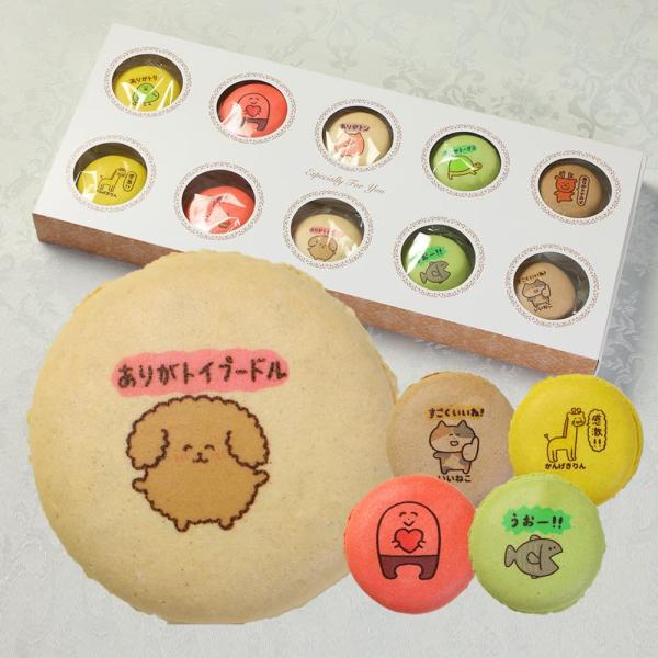 ありがとうございまスイーツ 彩りマカロン 10個入り 個包装 かわいい スイーツ ギフト 詰め合わせ お返し お礼 誕生日 プレゼント
