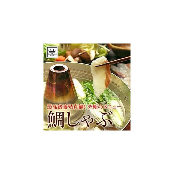 O Mtg Q uh  Ԃ  6pbNZbg | 蕨  ^C  Mtg CN  Ȃ  Y  