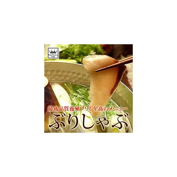 O Mtg Q uh ˓ u Ԃ  6pbNZbg | 蕨  Ԃ  Mtg CN  Ȃ  Y  