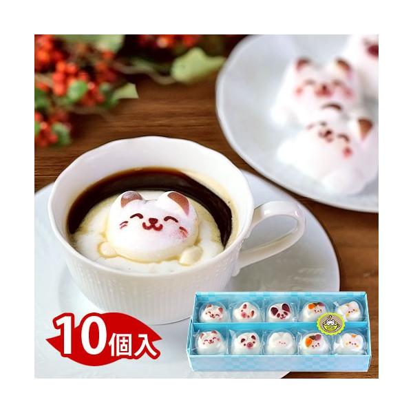 َq Latte }V} e} 10  XC[c Mtg 킢 L j a v[g 蕨 NX}X o^C