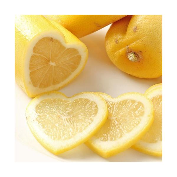 ハートレモン 6玉 広島県産 化粧箱箱入り レモン フルーツ ハート型 贈答 果物 くだもの かわいい インスタ映え Buyee Buyee Japanese Proxy Service Buy From Japan Bot Online