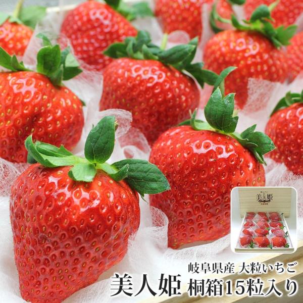 t[c Mtg  lP тЂ 򕌌HsY 15 ˔ 138gO 嗱TCY 蕨 v[g Ε