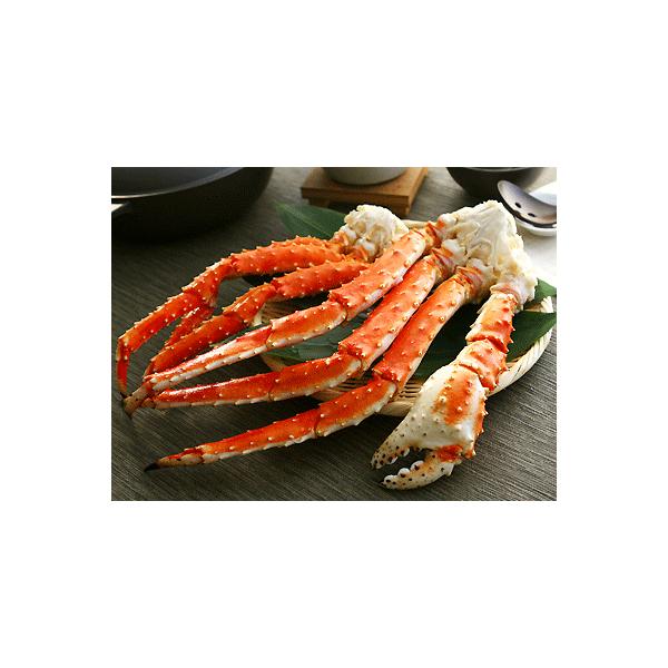 O Mtg ^oKj r Jj  3kg  | Jj ^o I Mtg 蕨   y Hi