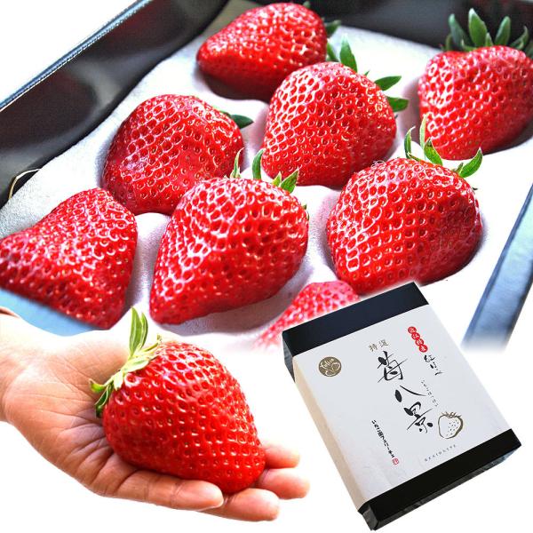 t[c Mtg 䕔i ͂ ꌧFsY ߍ]Y gق TCY 8 蕨 v[g Ε