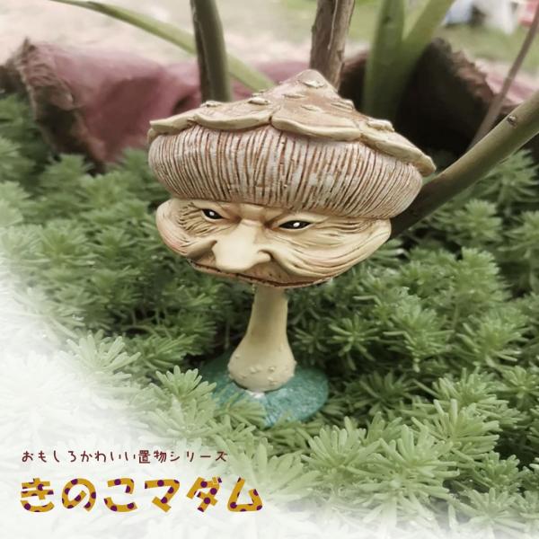 昭和レトロ 木製 天然木 瘤 玉杢 飾り棚 キノコ型 オブジェ インテリア 置物 置物 キノコ マダム 茸 アンティーク デザイン オブジェ インテリア