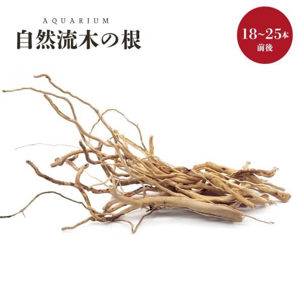 アクアリウム 流木 ーVer4ー 自然の流木の根 木の根 1束50gセット 極細