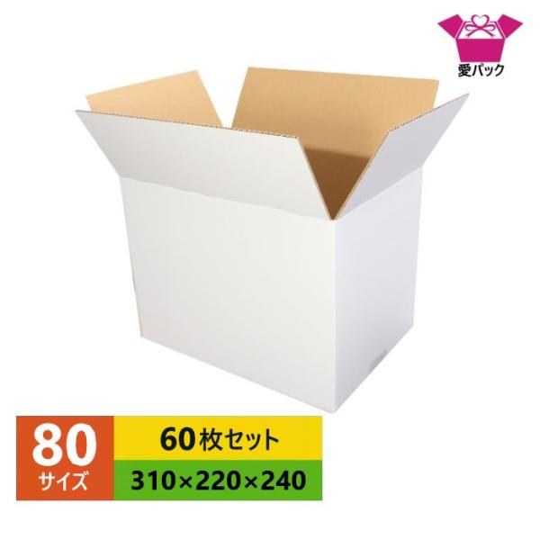 ダンボール箱 白 段ボール 80 サイズ 薄型 軽量 軽い A4 60枚セット 宅配 A4対応 日本製 無地 B段