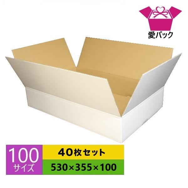 愛パックダンボール ダンボール箱 段ボール 100サイズ 白 40枚 愛パックダンボール ダンボール箱 段ボール 100サイズ 白 40枚