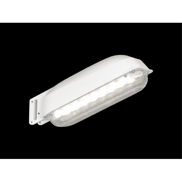 東芝ライテック LED防犯灯 LEDK-70928NP-LS9 (LEDK70928NPLS9)LEDK