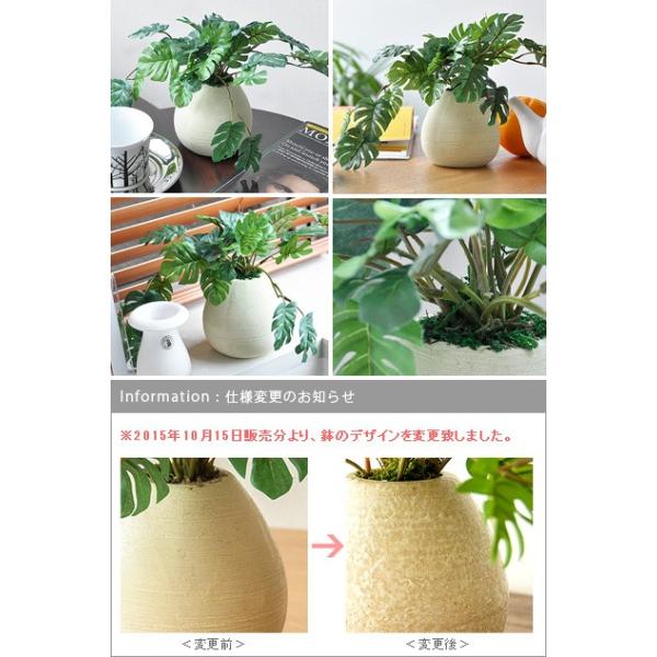 観葉植物 光触媒 モンステラ ミニ 卓上 人工観葉植物 造花 フェイクグリーン インテリア おしゃれ かわいい 人気 消臭 抗菌 防汚 光触媒人工植物 Buyee Buyee Japanese Proxy Service Buy From Japan Bot Online