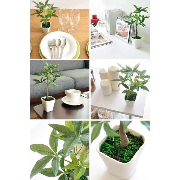 観葉植物 光触媒 パキラ ミニ 卓上 人工観葉植物 フェイクグリーン インテリア おしゃれ かわいい 人気 消臭 抗菌 防汚 卓上観葉植物 Buyee Servis Zakupok Tretim Licom Buyee Pokupajte Iz Yaponii