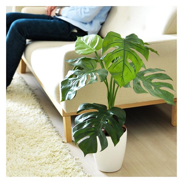 観葉植物 フェイクグリーン 光触媒 モンステラ 75cm お手入れ不要 抗菌 消臭 V Cat光触媒 インテリア おしゃれ 光触媒人工植物 Buyee Buyee Japanischer Proxy Service Kaufen Sie Aus Japan