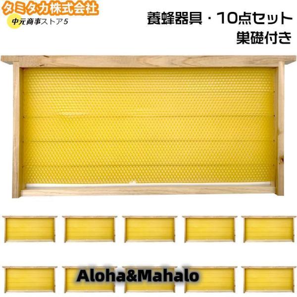 養蜂巣礎シート200枚入り(シートのみです) 養蜂巣礎シート200枚入り(シートのみです) Amazon.co.jp: 東川口