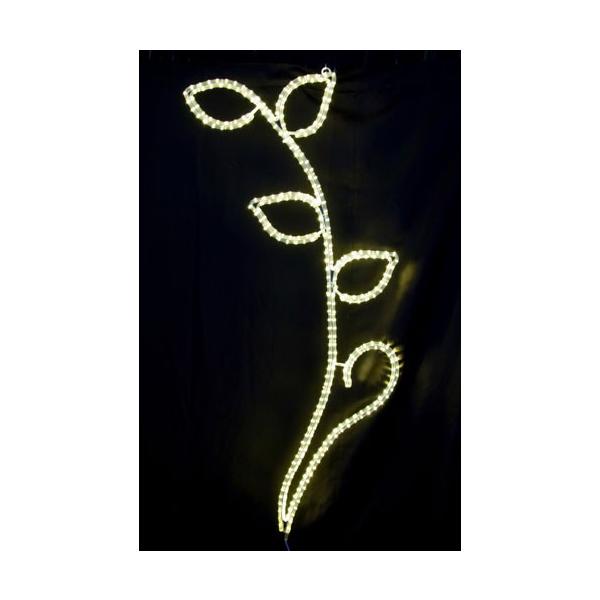2D�X�g���[�g���`�[�t ���[�t L2DM269