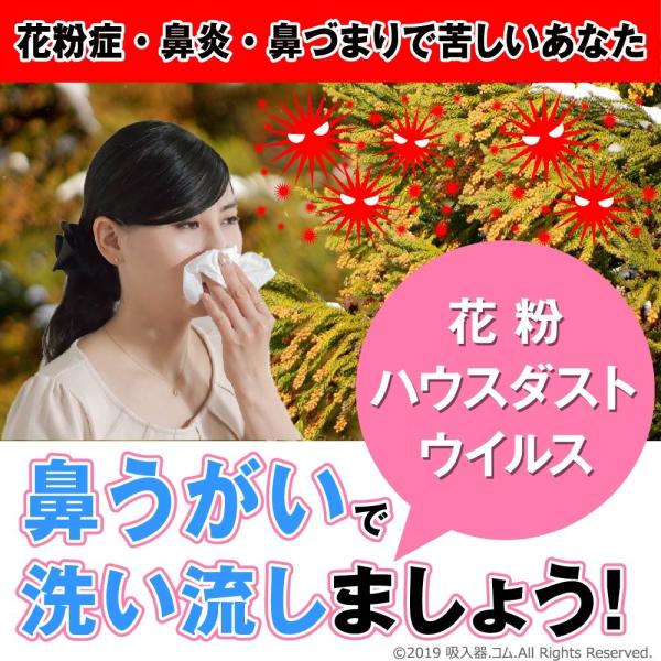 電動鼻洗浄器 ハナオート Nk70 お試し用洗浄剤ソルトミント10包入 Buyee Buyee 일본 통신 판매 상품 옥션의 대리 입찰 대리 구매 서비스