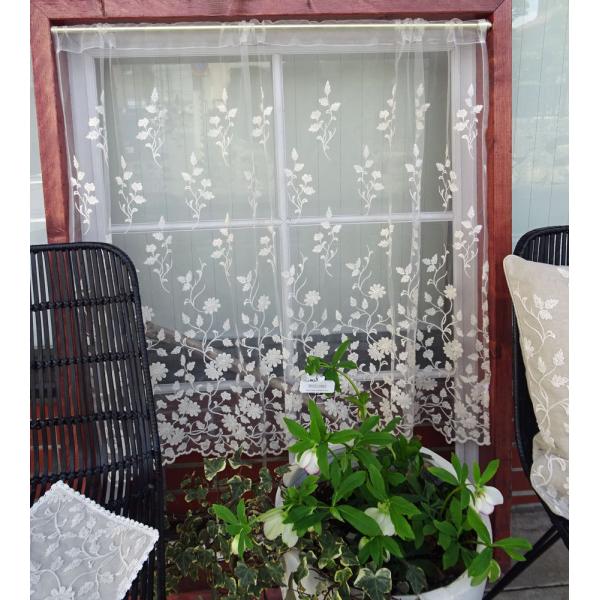 JtFJ[e ai [ 120x90cm RbghJ _炩D`[łmcl25nmclsni`  AC{[ k@ԕ p  l