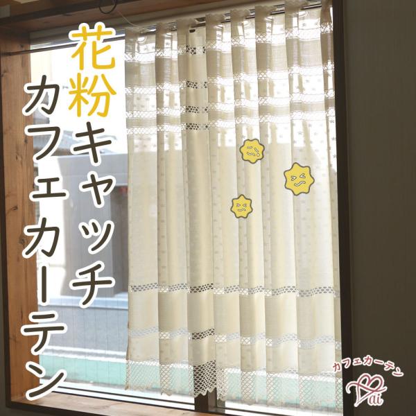 JtFJ[e  ai JtFJ[e@|Xgő ԕLb` ԕ 150×105@@AC{[ Af[W O ks   x[W