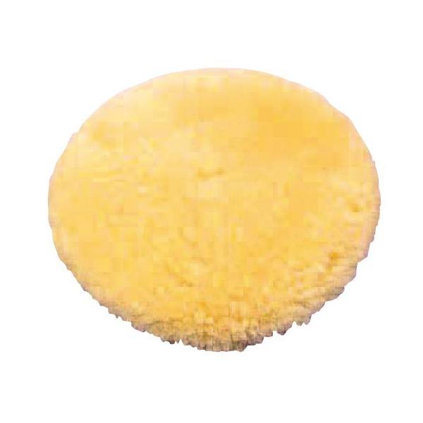 pi h~ i[VObO [pbg STCY NR-19