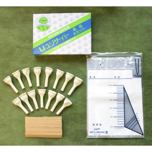 jpȈՍ̔A T[o[ iAZbg