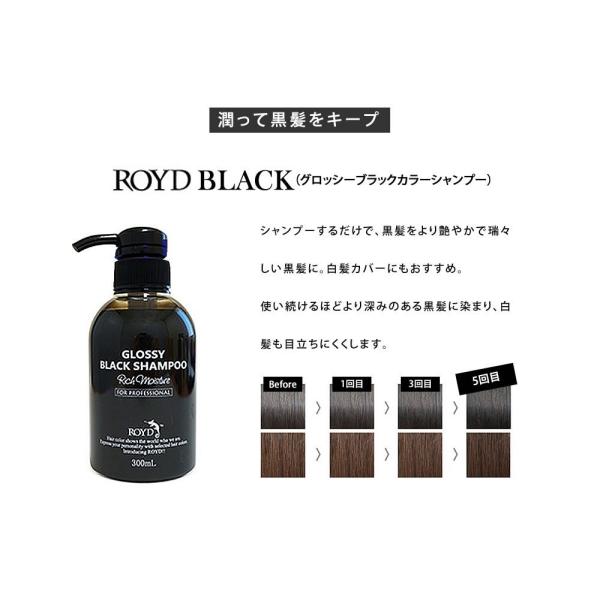 ロイド Royd カラーシャンプー トリートメント 300ml 選べる Buyee Buyee 日本の通販商品 オークションの代理入札 代理購入