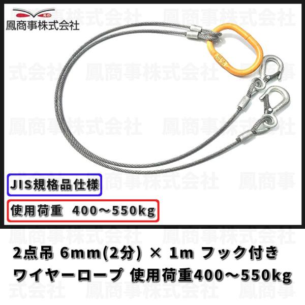 鳳商事株式会社 2点吊り Φ6mm(2分) フック付ワイヤーロープ 使用荷重