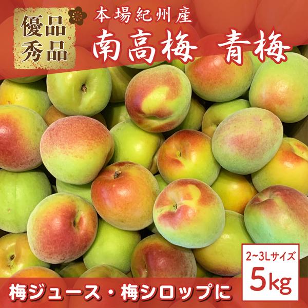 青梅 南高梅 2〜3Lサイズ 5kg秀・ 優品 : 愛須商店 - 通販 - Yahoo