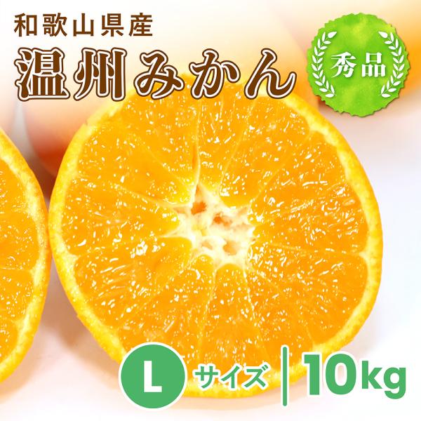aisushop_unsyu-l-10 aisushop_unsyu-l-10