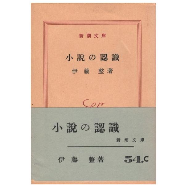 aizuno_ai0659