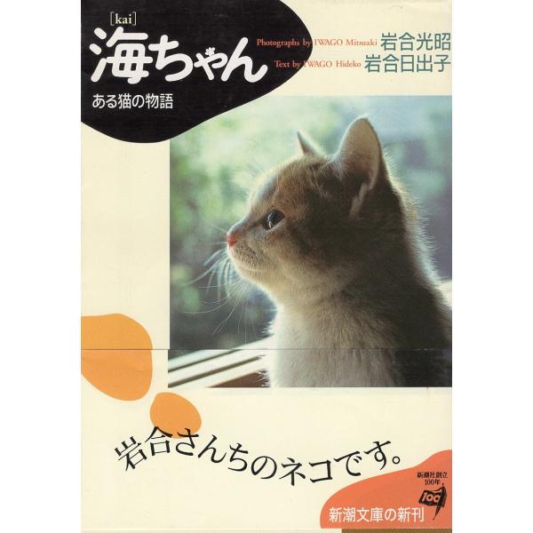 （古本）海ちゃん ある猫の物語 岩合光昭＋岩合日出子 新潮社 AI0893 19961101発行