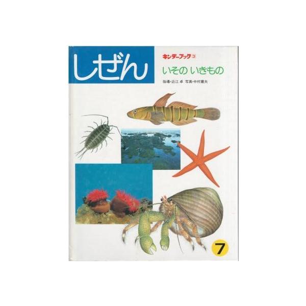 古本）キンダーブック しぜん いそのいきもの 近江卓 フレーベル館