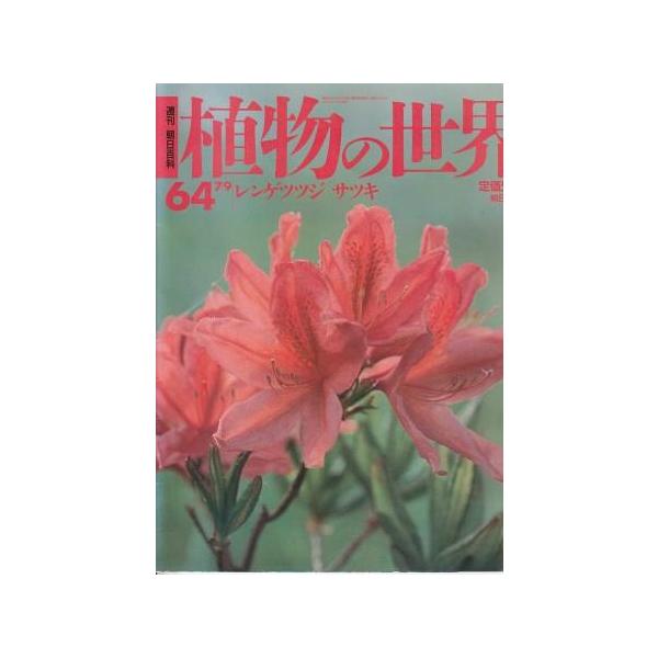 aizuno_z04566