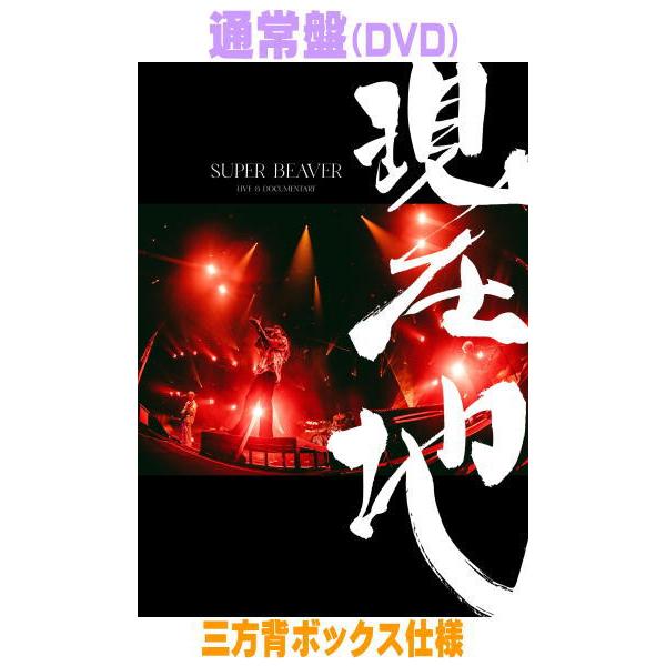 通常盤 SUPER BEAVER DVD/映画『SUPER BEAVER LIVE &amp; DOCUMENTARY -現在地-』 26/10/28発売【オリコン加盟店】＄＃