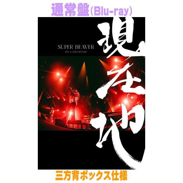 通常盤 SUPER BEAVER Blu-ray/映画『SUPER BEAVER LIVE &amp; DOCUMENTARY -現在地-』 26/10/28発売【オリコン加盟店】＄＃