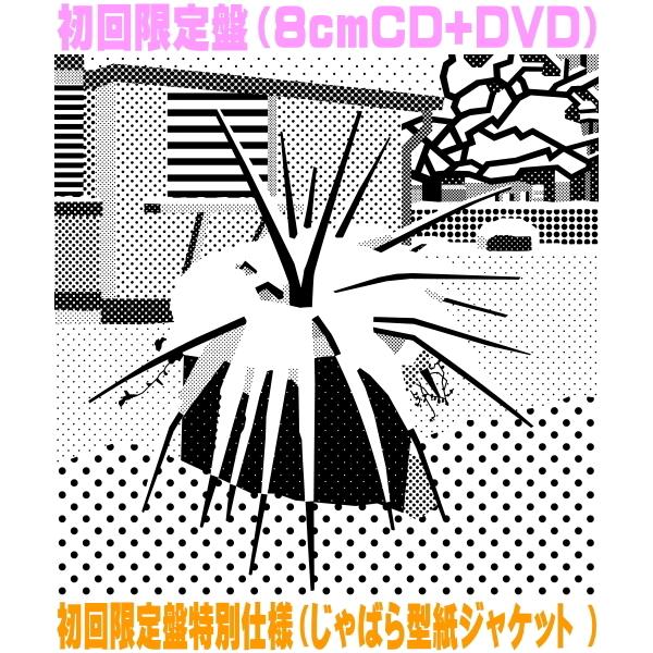 先着特典終了 初回限定盤 DVD付 初回限定盤特別仕様 クリープハイプ