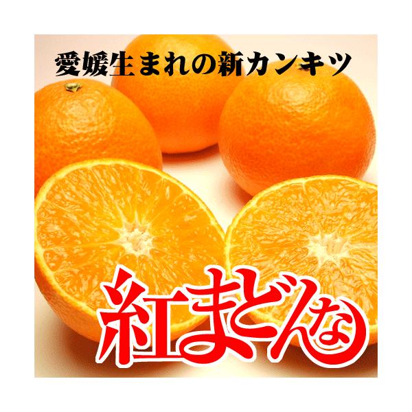 QY g܂ǂȏGL܂2L3kg@@Ε@a@NX}X@v[g