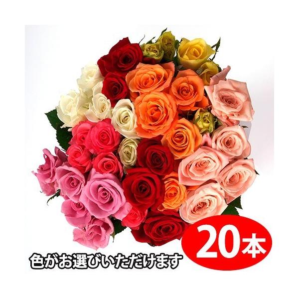 農家直送 色が選べるバラの花束ギフト20本 : 味縁 - 通販 - Yahoo