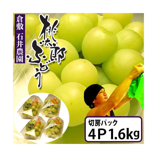 石井農園の桃太郎ぶどう　切房パック×4個入　計1.6Kg　種なしで皮ごと食べるまるで爽やかなゼリーのようなぶどう　ご自宅用パック