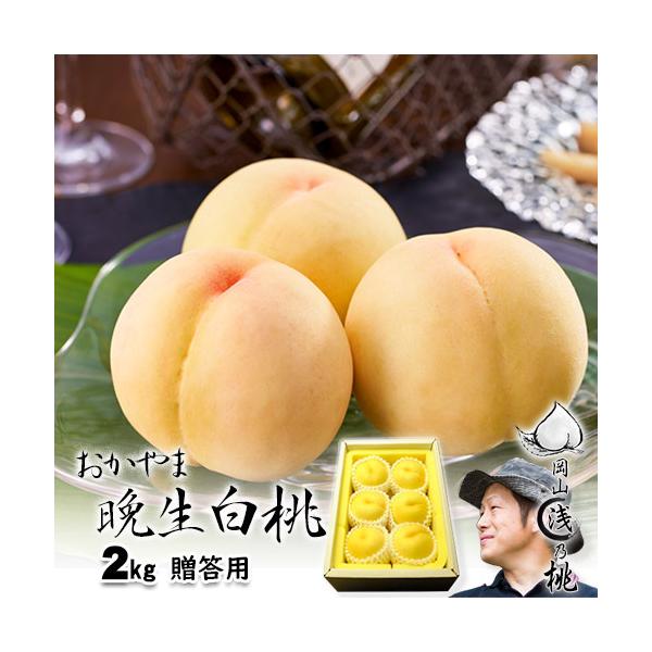 早期ご予約受付中 〇浅 岡山晩生白桃 贈答 2kg箱 5〜8玉 岡山県産白桃 生産者限定商品 7月下旬〜9月初旬収穫品