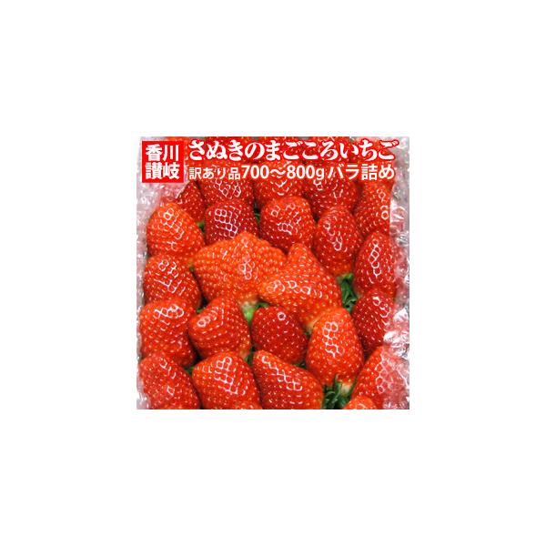 􂢂@󂠂育p@700|800ol߁@쌧OؒY@󏭂Ȍ䕂̂p`Cyȑ@ʂ̂܂낢ol߁@