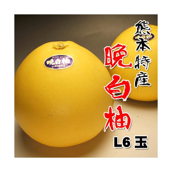 ӔM@΂؂@L6ʖ10kg@@Ε@N