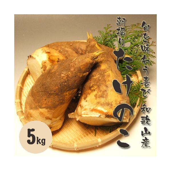 和歌山産　朝堀り筍（たけのこ）5kg 　ご予約送料無料　旬を味わう厳選品 　お花見やバーベキューもタケノコ