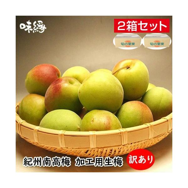 早期ご予約受付中　紀州南高梅　加工用　生梅　サイズ混合　訳あり　5Kg×2箱 10Kg　和歌山より直送　送料無料　梅酒用青梅・梅干し用完熟梅からお選びください