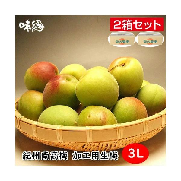 早期ご予約受付中　紀州南高梅　加工用　生梅　3Ｌ　5Kg×2箱 10Kg　和歌山紀州より直送　送料無料　梅酒用青梅・梅干し用完熟梅からお選びください