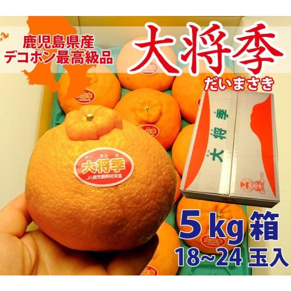 fR|ōi 叫Gi܂j5L 18~24ʓ Y 蕨ɃC`IV̓i Mtgϔ ̂ bZ[WJ[hΉi