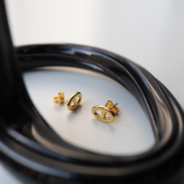 ピアス ajiro accessory ミニピアス レディース 小ぶり サージカルステンレス ゴールド シルバー 個性 上品 オフィス P228