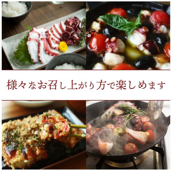 蒸しタコ２尾入 蛸 刺身 紅白 半夏生 たこ焼き 高タンパク低カロリー食材 ダイエットにも 縁起が良い 夏バテ バーベキュー q お盆 お中元 帰省 お土産 手土産 Buyee Buyee 日本の通販商品 オークションの代理入札 代理購入