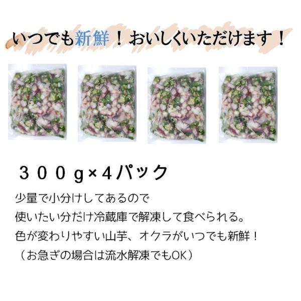 たこ三色和え 300g 4p 夏野菜の山芋 オクラとタコでねばシャキ 夏バテにも栄養満点 ご飯のお供に おつまみにも ビール お酒 丼 送料無料 惣菜 小鉢 冷奴 Buyee Buyee 日本の通販商品 オークションの代理入札 代理購入